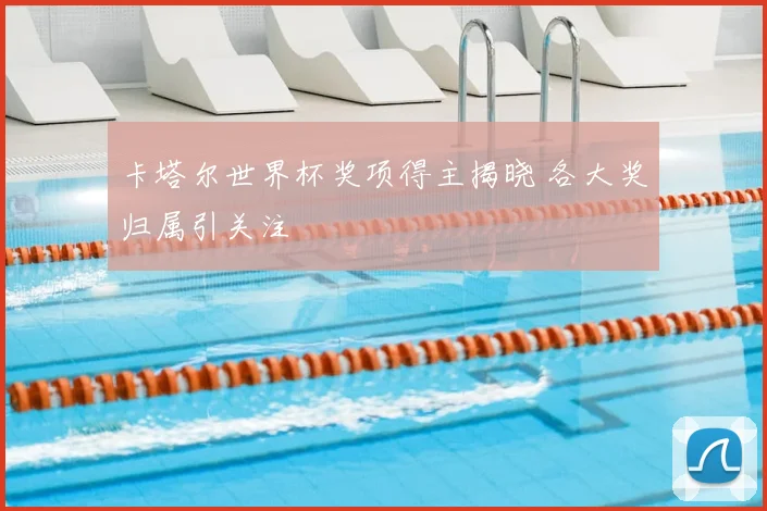 卡塔尔世界杯奖项得主揭晓 各大奖归属引关注