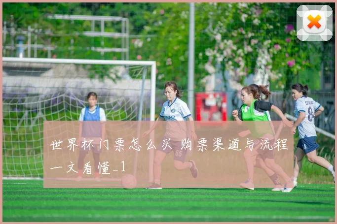 世界杯门票怎么买 购票渠道与流程一文看懂_1