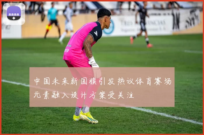 中国未来新国旗引发热议体育赛场元素融入设计方案受关注